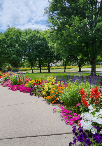 Garden Design