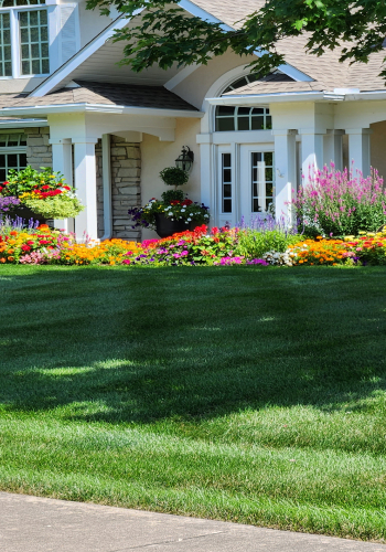 Landscape Design Services