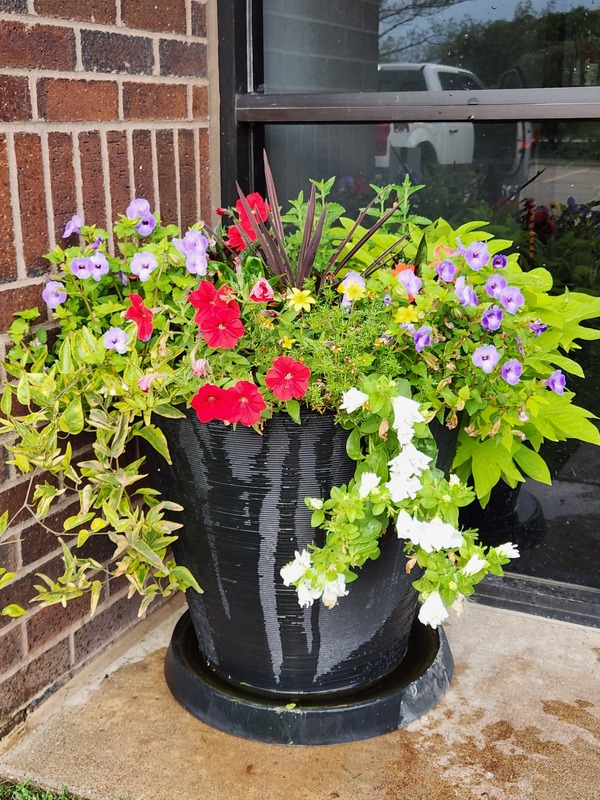 Outdoor Seasonal Planters